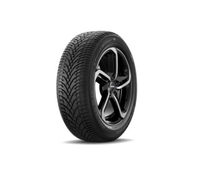  Bf Goodrich G-FORCE WINTER2 205/55/R16 91H iarna 