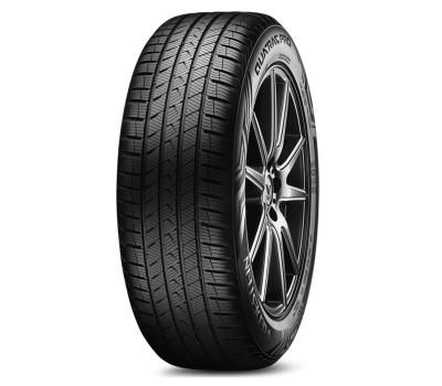  Vredestein QUATRAC PRO+ 205/40/R17 84W XL all season 